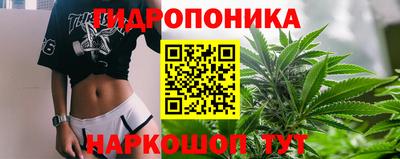 сатива Будённовск