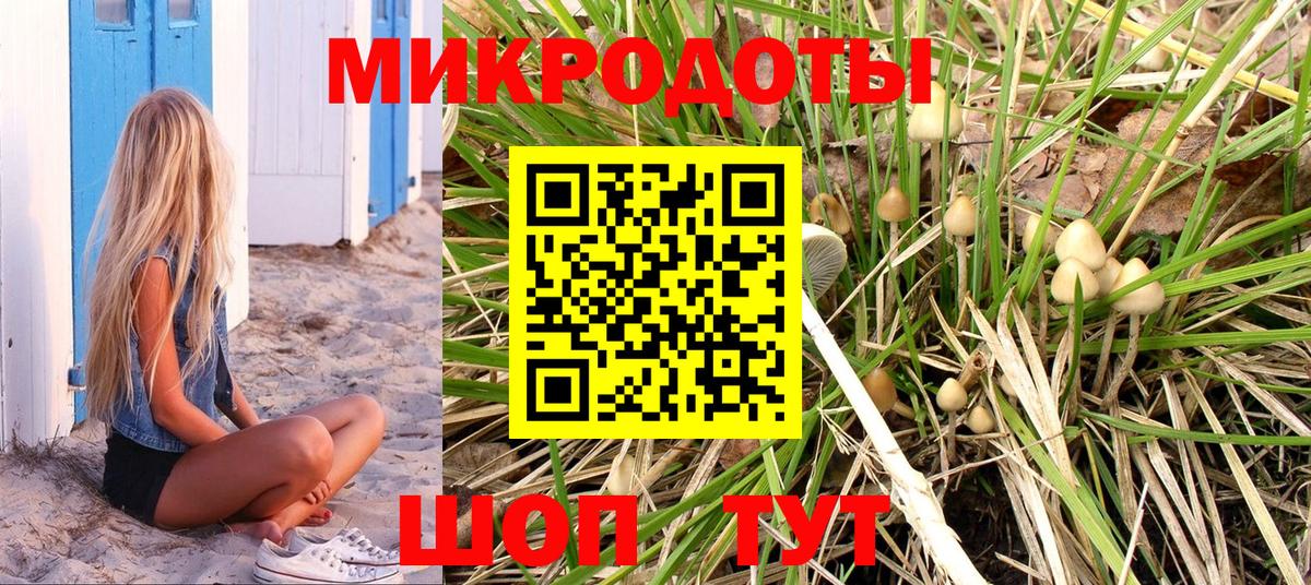 Псилоцибиновые грибы GOLDEN TEACHER Уссурийск