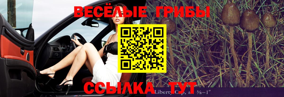 Уссурийск  Псилоцибиновые грибы Psilocybe  где можно купить наркотик  Вход с VPN 